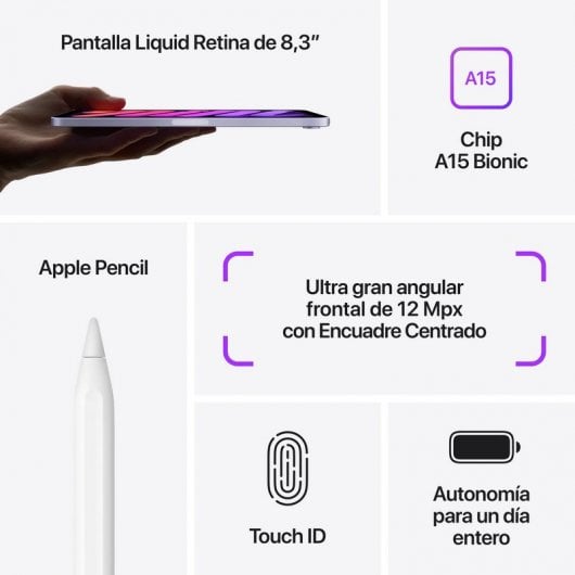 Apple iPad Mini 2021 64GB WiFi Gris Espacial