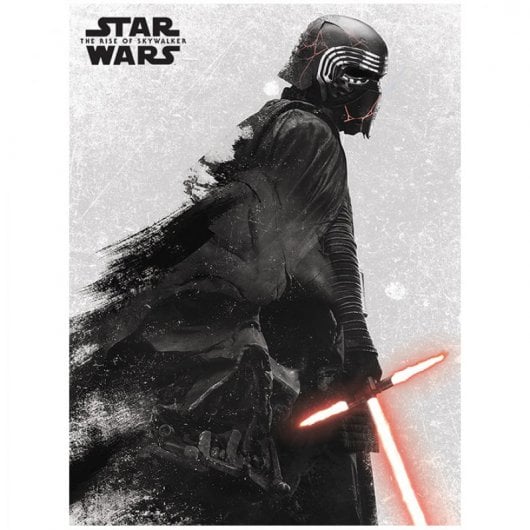 Toile Pyramide Star Wars Episode 9 30x40cm