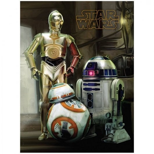 Pyramid Lienzo Star Wars Droids 30x40cm