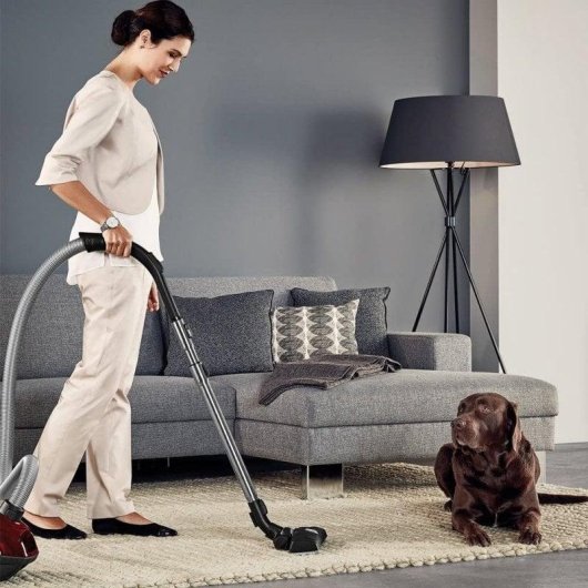 AEG VX7-2-CRAK Aspirador de Trineo con Bolsa 600W