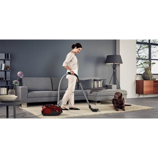 AEG VX7-2-CRAK Aspirador de Trineo con Bolsa 600W