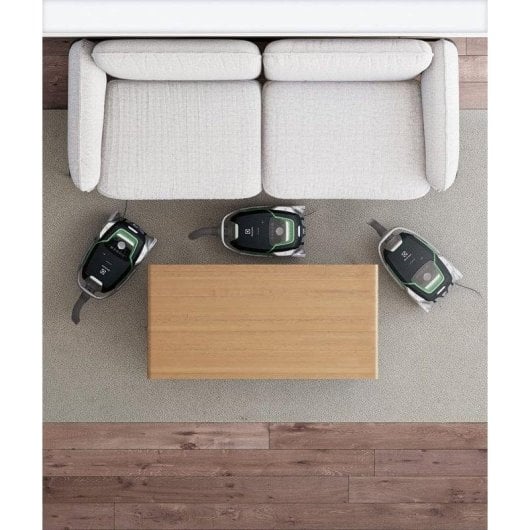 Aspirateur avec Sac Electrolux EUOC9GREEN 850W Filtre EPA Capacité 5L