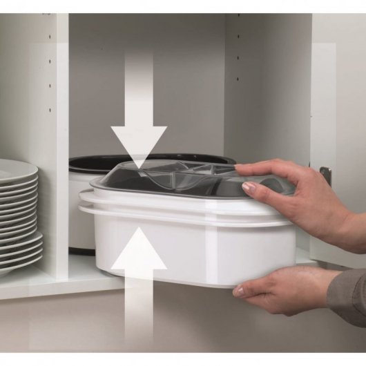 Braun TributeCollection FS 3000 Vaporera 2L 850W