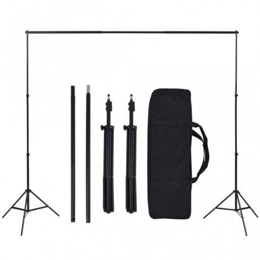 vidaXL Kit studio photo 2 projecteurs + 5 arrière-plans