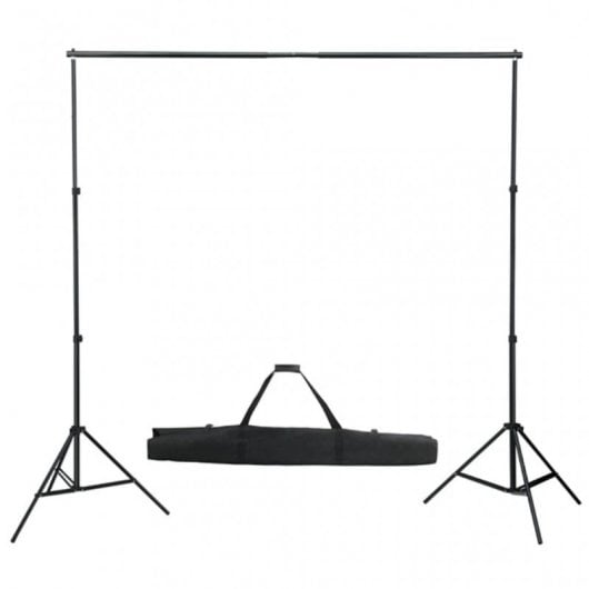 vidaXL Kit de Estudio Fotográfico 2 Focos + Fondo + Accesorios