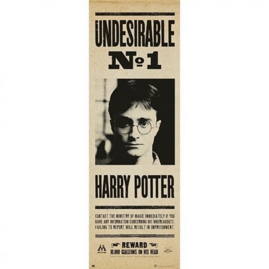 Affiche de porte Erik indésirable Harry Potter n°1 158x53cm