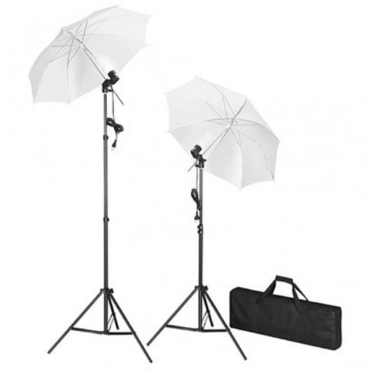 vidaXL Kit de Estúdio Fotográfico 2 Focos + Fundo Branco 600x300cm