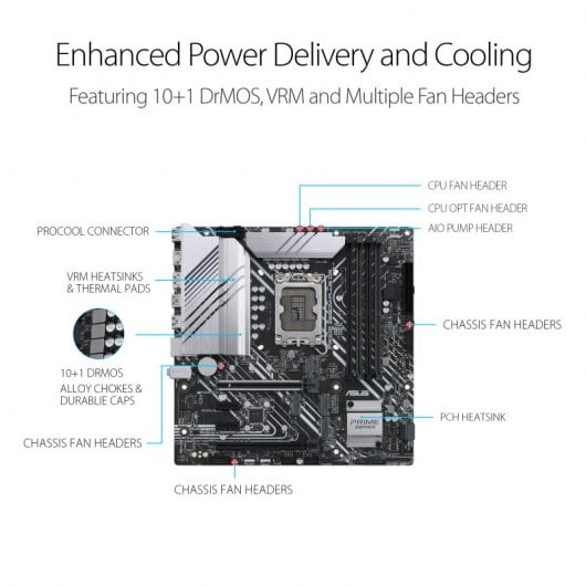 Asus PRIME Z690M-PLUS D4