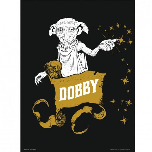 Erik Lámina Harry Potter Dobby 40x30cm