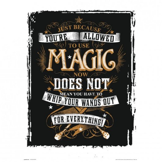 Erik Lámina Harry Potter Magic 40x30cm