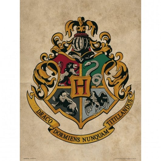 Erik Harry Potter Blason de Poudlard imprimé 40x30cm