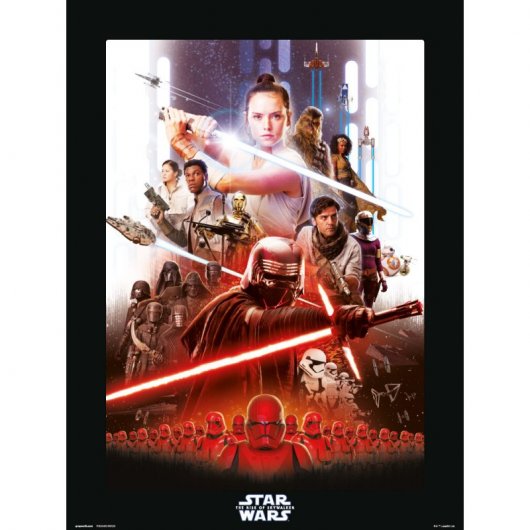 Erik Lámina Star Wars Episodio IX Borde Negro 40x30cm