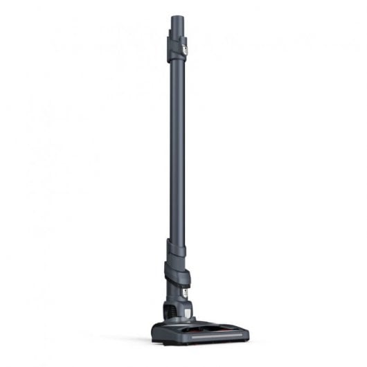 Rowenta X-Pert 6.60 Essential Aspiradora Escoba/Mano 18V 100W