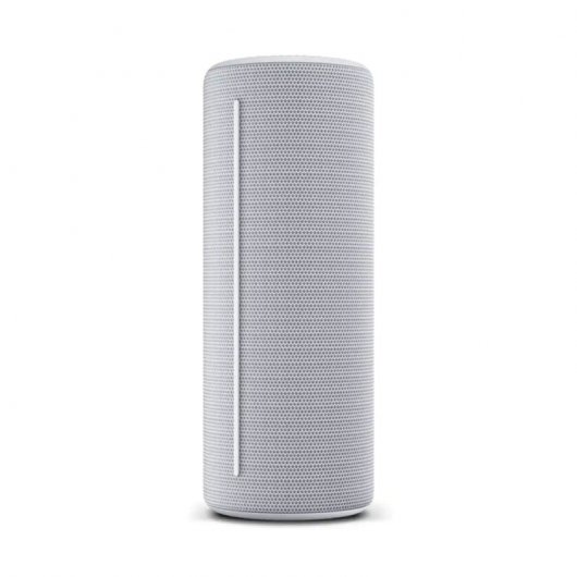 Loewe Nous. HEAR 1 Enceinte Bluetooth 40W Gris Froid