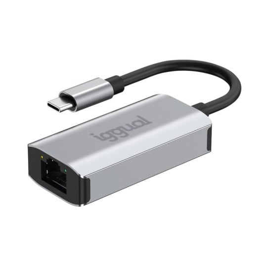 Même adaptateur Gigabit IGG317693 USB-C vers RJ-45