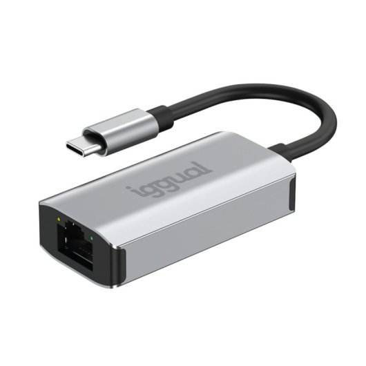 Iggual IGG317693 USB-C auf RJ-45 Gigabit Adapter