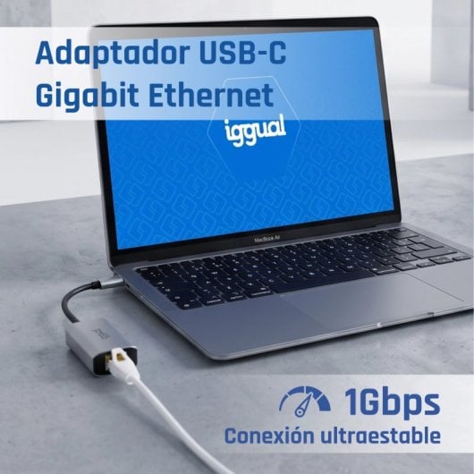 Même adaptateur Gigabit IGG317693 USB-C vers RJ-45