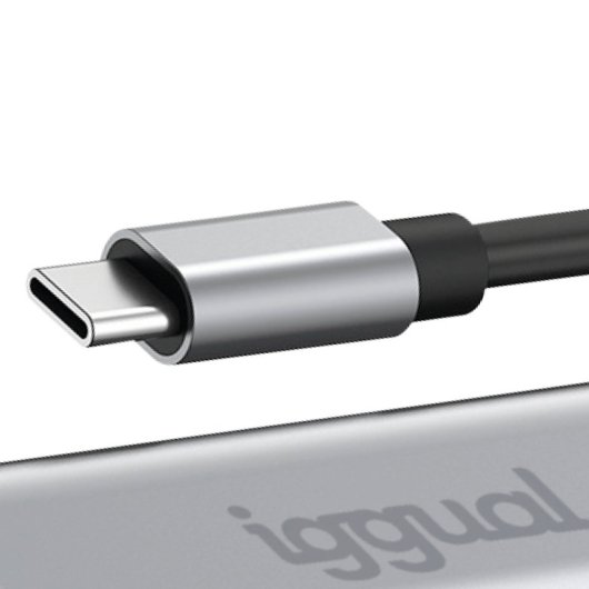 Iggual IGG317693 USB-C auf RJ-45 Gigabit Adapter