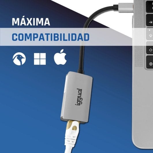 Même adaptateur Gigabit IGG317693 USB-C vers RJ-45