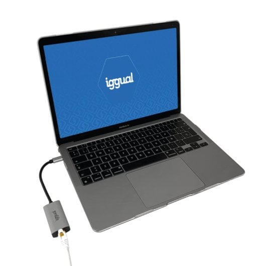 Même adaptateur Gigabit IGG317693 USB-C vers RJ-45