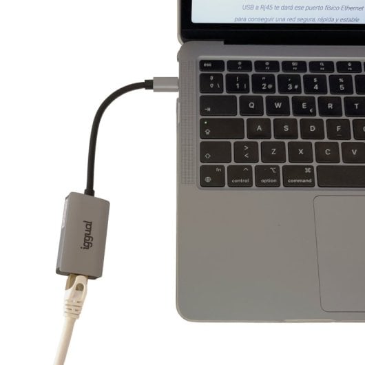 Même adaptateur Gigabit IGG317693 USB-C vers RJ-45