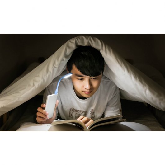 Xiaomi Mi PowerBank 5000mAh Plata