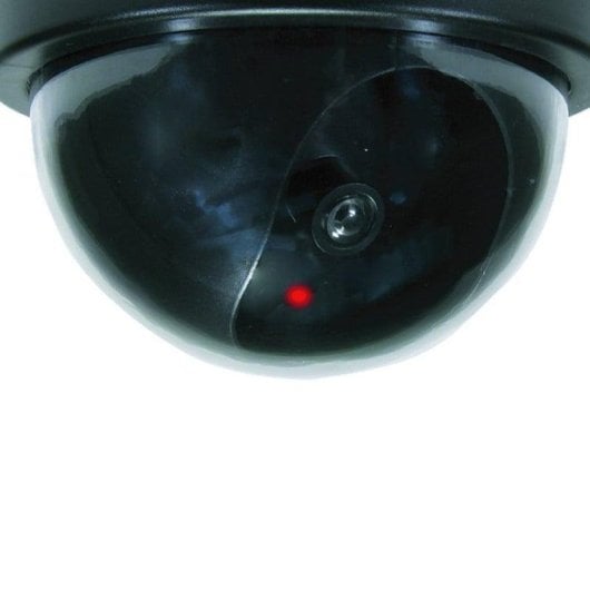 Überwachungskamera Conceptronic CFCAMD Dome Dummy Innen LED-Blitzlicht