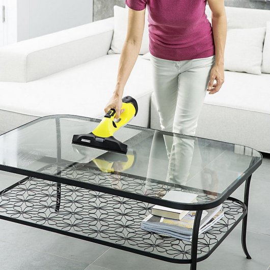 Karcher WV 5 Plus Limpiador de Cristales