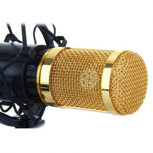 BM-800 Micrófono de Estudio XLR/Jacks Negro