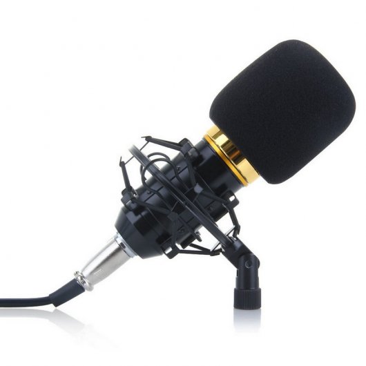 BM-800 Micrófono de Estudio XLR/Jacks Negro