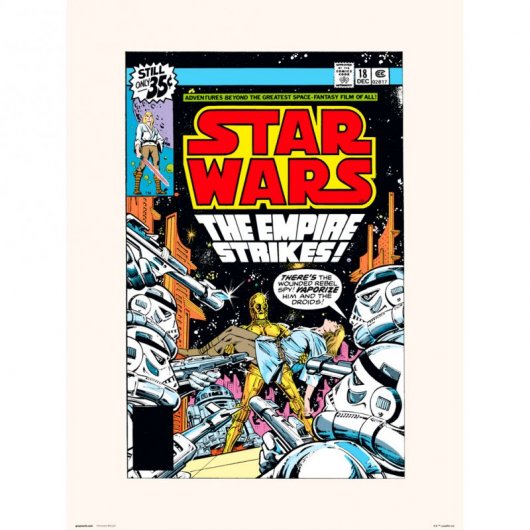 Erik Lámina Star Wars 18 The Empire Strikes 40x30cm