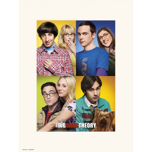 Erik Lámina The Big Bang Theory Mosaico 40x30cm