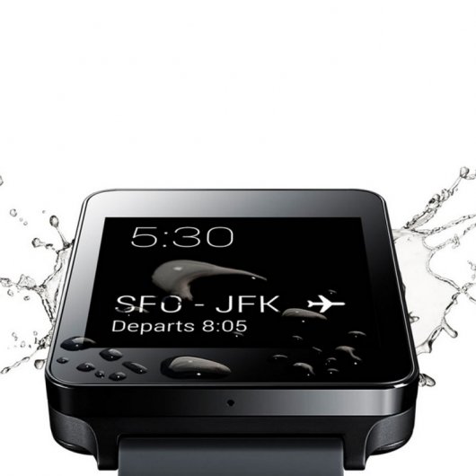 LG G Watch W100 Buddy