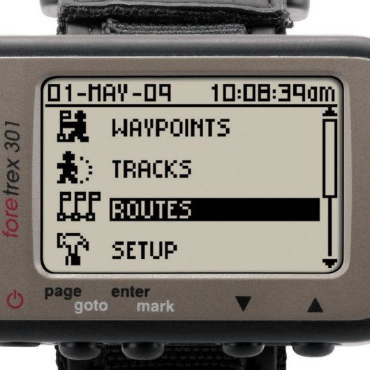 Garmin Foretrex 301