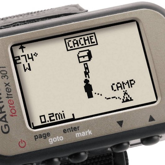 Garmin Foretrex 301