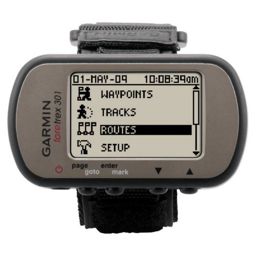 Garmin Foretrex 301