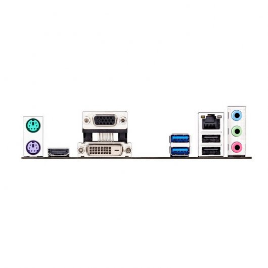 Asus H81M-P PLUS