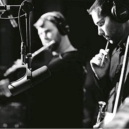 Shure SM7B Micrófono Dinámico Cardioide