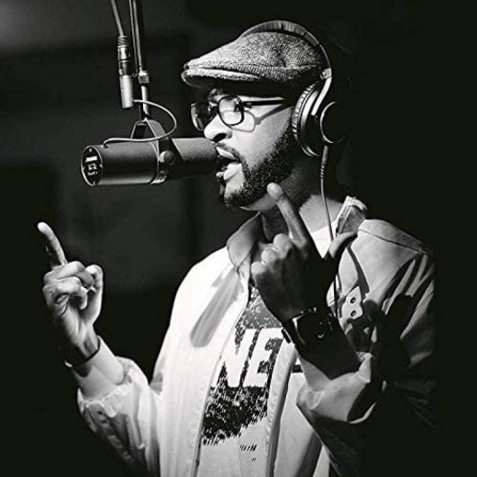 Shure SM7B Micrófono Dinámico Cardioide