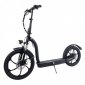 SmartGyro Lobo Trotinete Elétrica 500W Preta